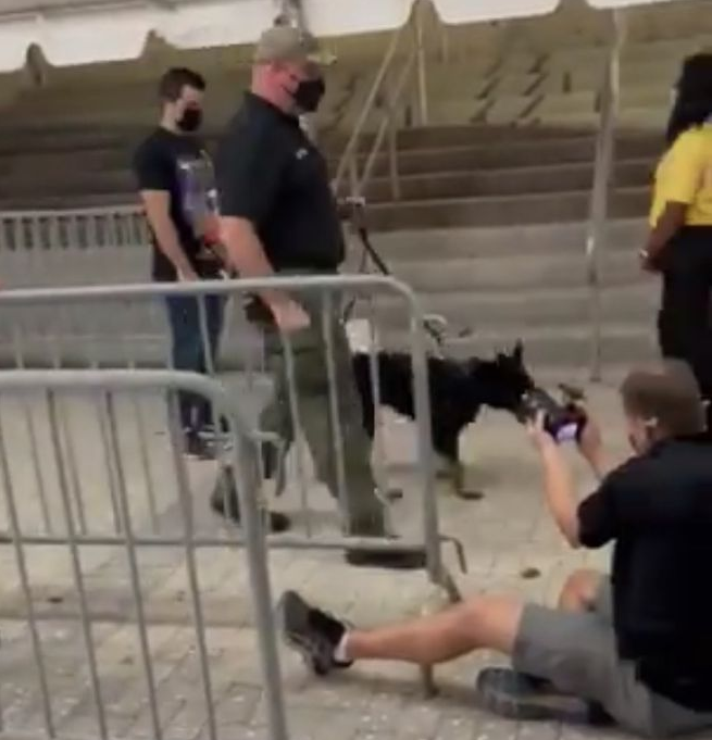 熱火啟用能聞新冠病毒的特種犬,負責球迷入場安保!-黑特籃球-NBA新聞影音圖片分享社區