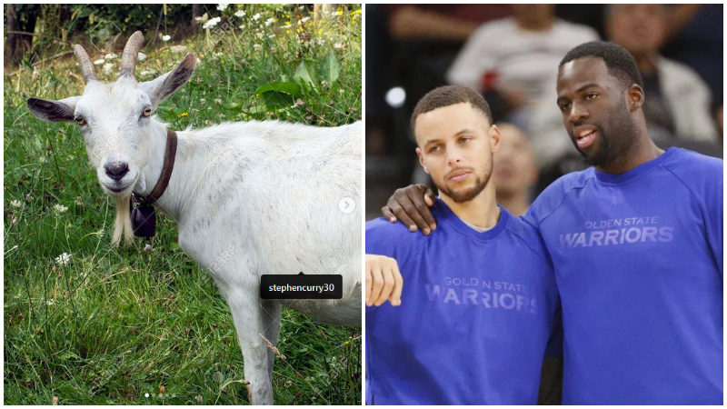Curry迎來33歲生日,追夢綠社媒發「山羊」照為他慶祝:一生的兄弟,一輩子挺你!-黑特籃球-NBA新聞影音圖片分享社區