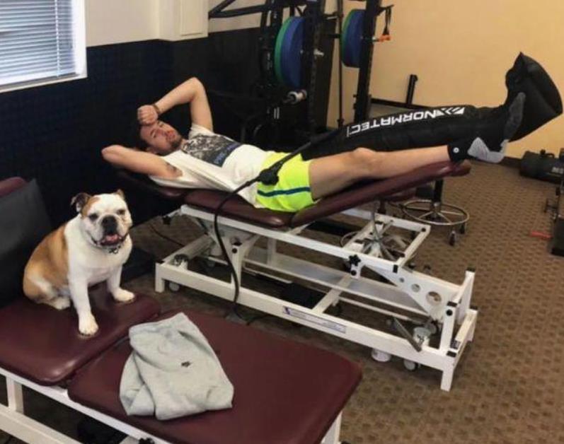 湯神竟要和愛犬Rocco下棋,Rocco一臉無奈癱倒:愚蠢的人類!-黑特籃球-NBA新聞影音圖片分享社區