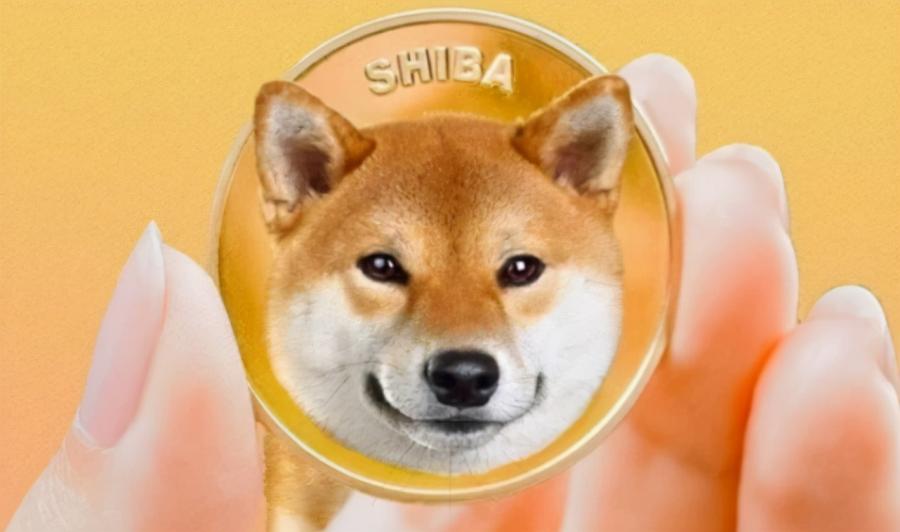 錯失200多億是一種什麼樣的體驗?32歲中鋒自曝曾投資柴犬幣,賣後卻暴漲讓他很難受!-黑特籃球-NBA新聞影音圖片分享社區